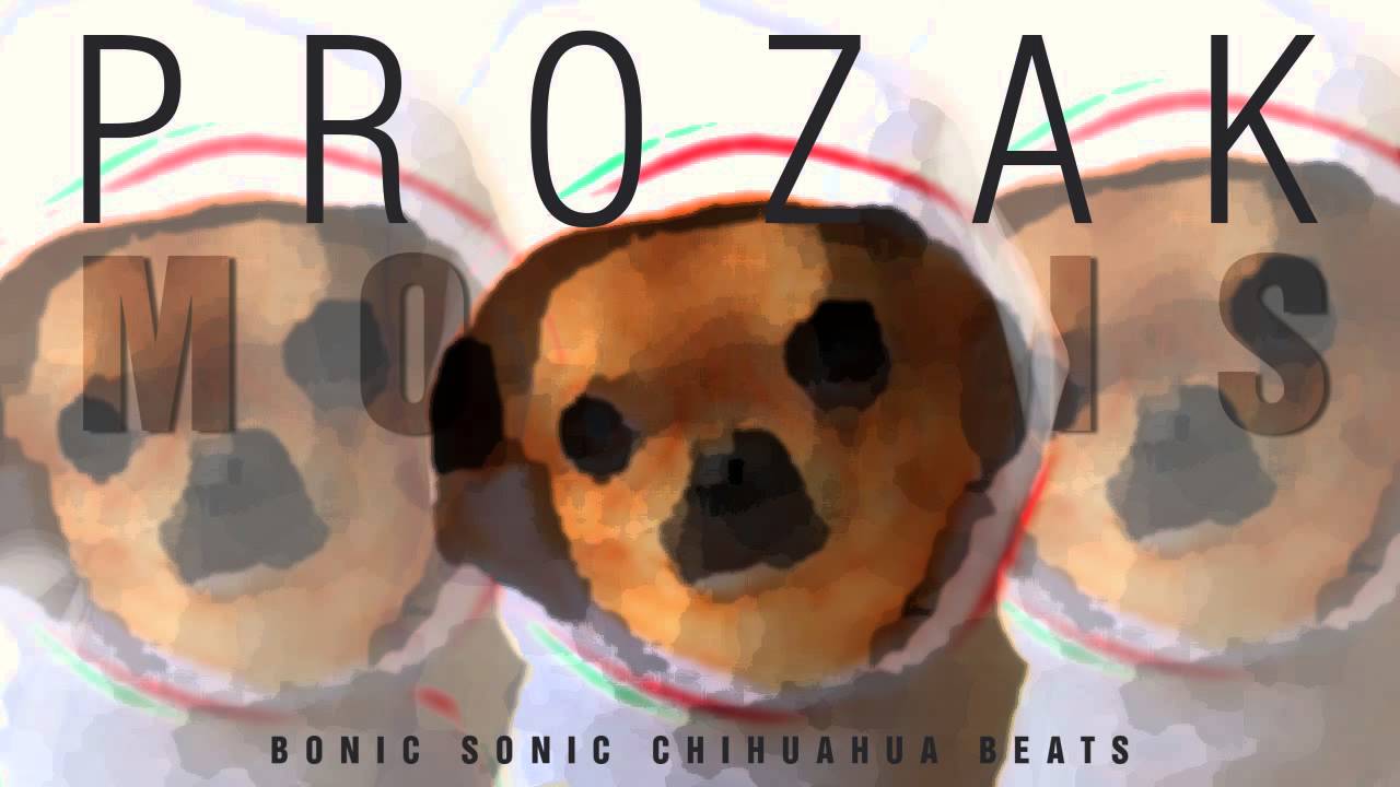 Prozak Morris - Computer Game Recognize Game