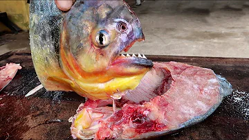 How does a piranha taste?