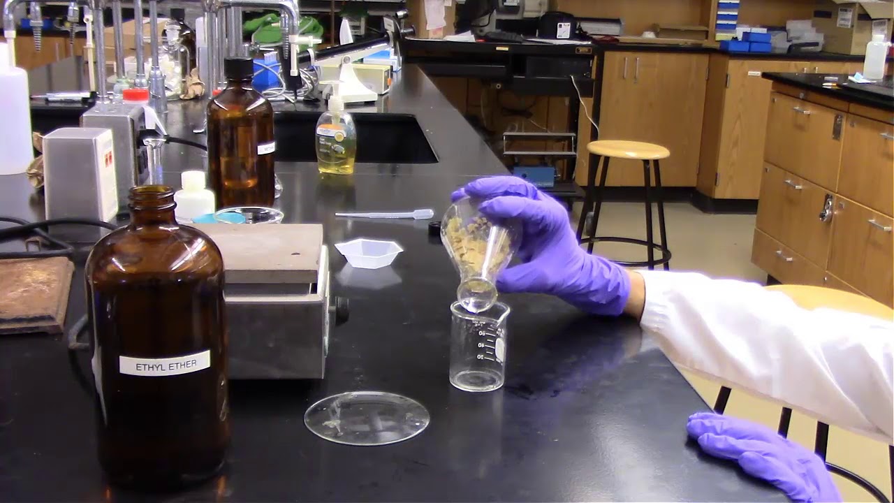 Extraction of Lipids from Corn Chips