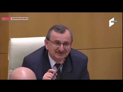 გოცირიძე - \"ოცნებაში” ყოფნა არის სირცხვილი – ამას ამბობენ ადამიანები, შინაური ცხოველები