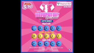 ELEPHANT BET SPECIAL
