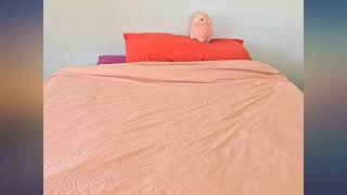 FACE TWO FACE 3-Piece Duvet Cover Queen,100% Washed Cotton Duvet Cover,Ultra Soft review screenshot 5