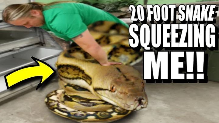 20 FOOT GIANT SNAKE CLEANING **SLIGHT ISSUE** | BRIAN BARCZYK