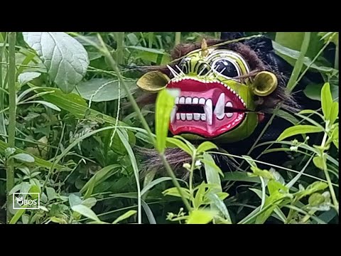 Macan - Hijau