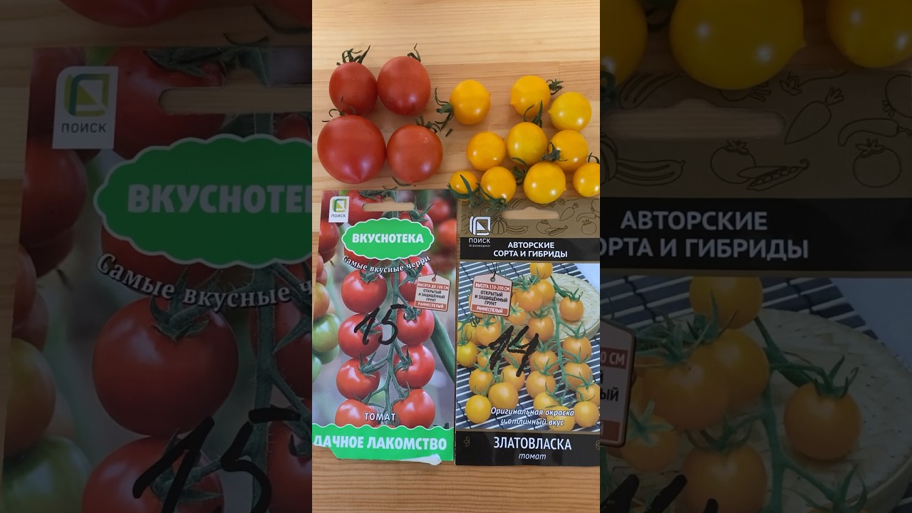 Томаты Златовласка, Дачное лакомство 