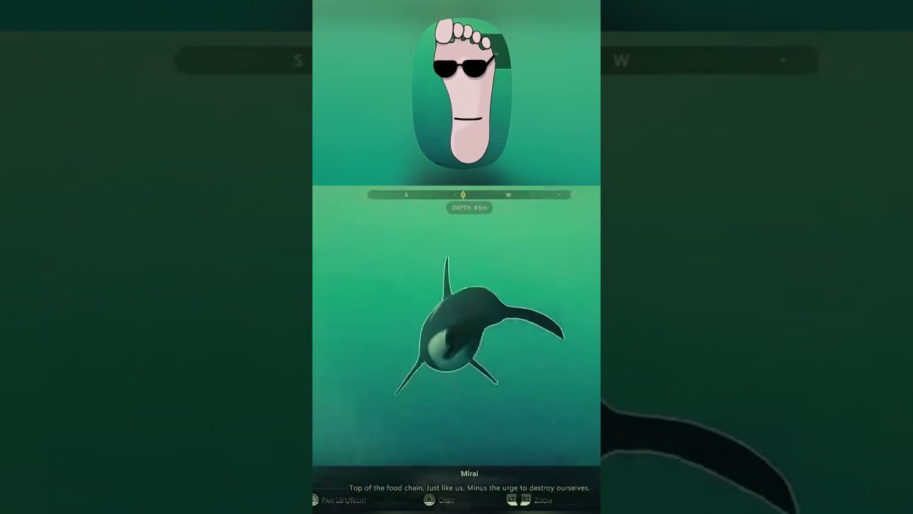 This game is pretty educational 🐋 