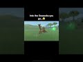 Into the fireworks you go 😂 | Zelda Tears Of The Kingdom