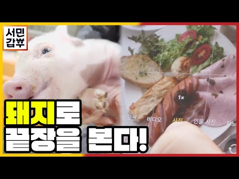돈(豚)<strong>으로</strong> 돈 번 <strong>남자</strong> | 서민갑부 350 회
