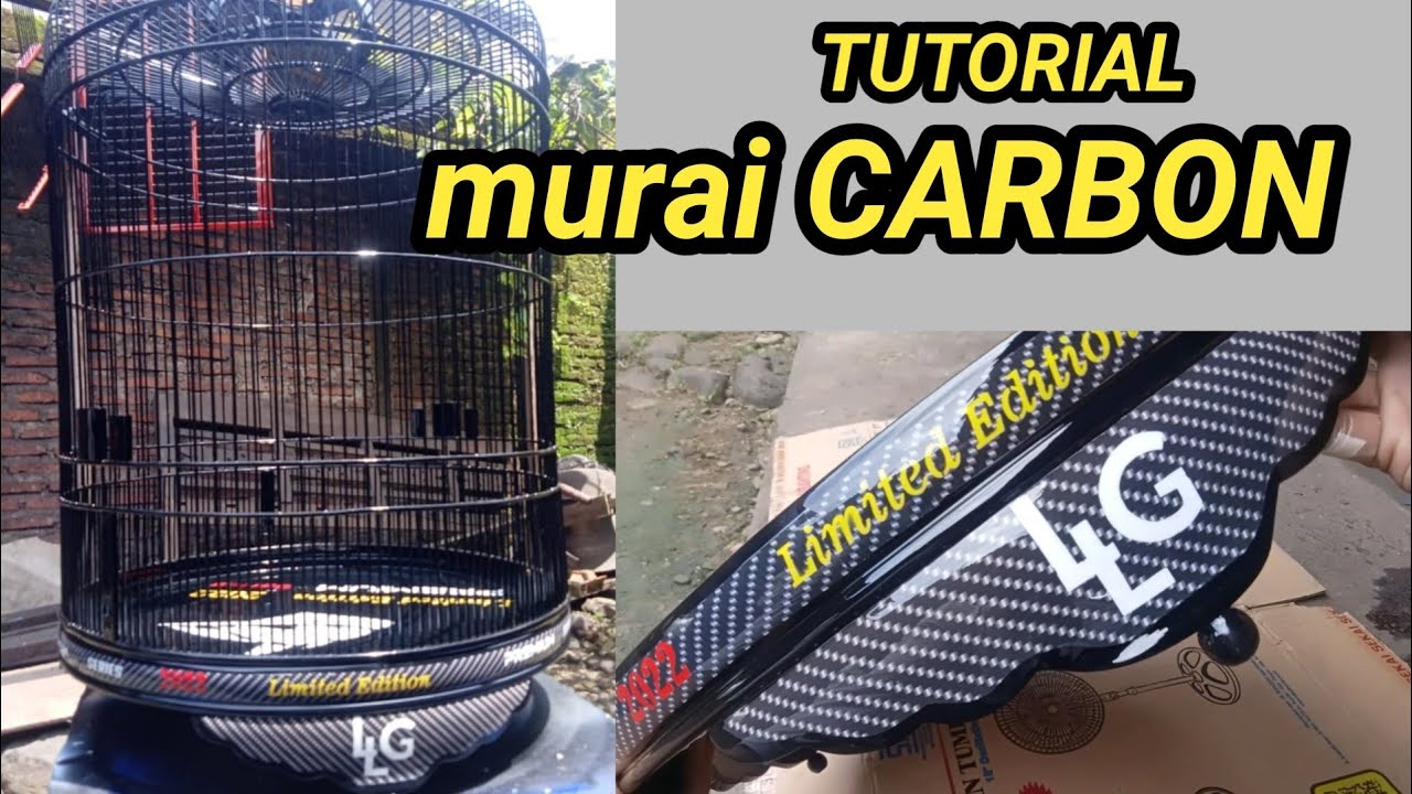 cara pengecatan sangkar murai carbon