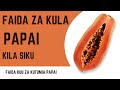 Faida Za Papai Mwilini Fahamu Faida Unazopata Unapotumia Papai Faida Za Papai Mwilini Fahamu Faida Unazopata Unapotumia Papai