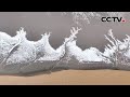 仿佛时间被定格！黄海滩涂潮汐森林“变身”冰凌奇境 | CCTV