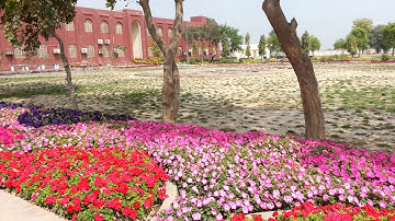 Department of Agriculture On Its Full Bloom | Spring | A View | BZU Multan