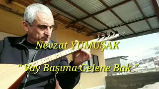 Vay Başıma Gelene Bak