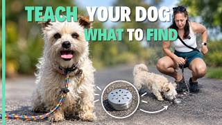 How To Teach Your Dog BEGINNER Scent Work – Scent Imprinting