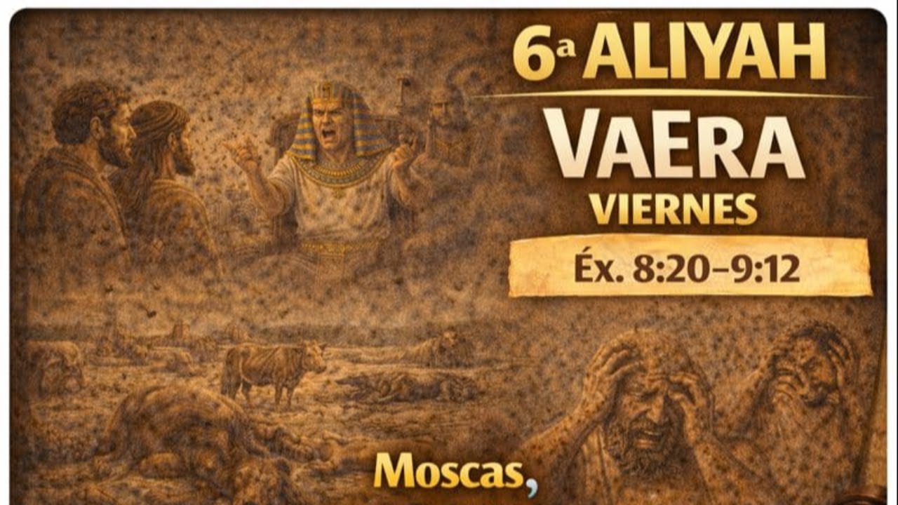 VaEra 6ª Aliyá (Viernes): moscas, peste y úlceras — separación, juicio y límites del poder