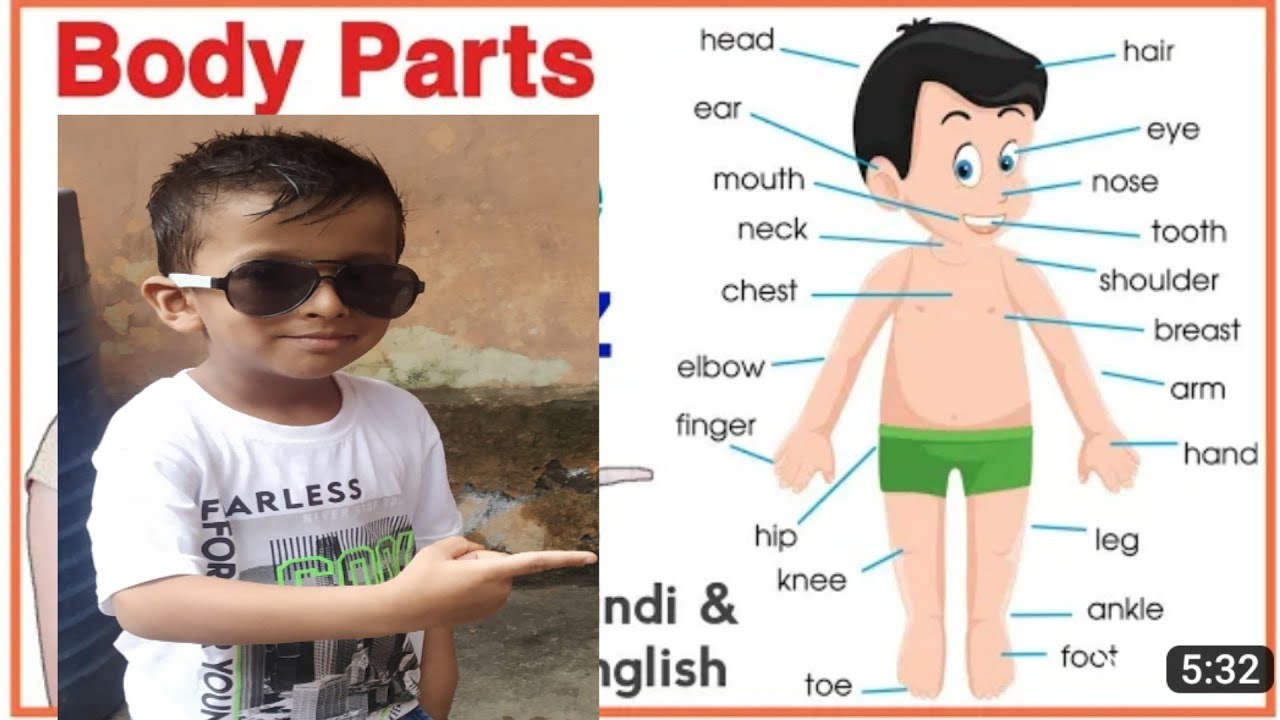 Hamare body parts name Hindi & English with pictures YouTube