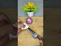 Solo pon un poco de aceite