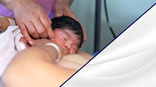 10 Pasos para una Lactancia Materna Exitosa y sus 3 Anexos.