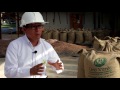 HISTORIAS DE EXITO CACAO SAN MARTIN