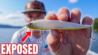 Exposing The Best Jerkbait Ever For Fall Fishing...