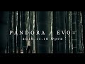 EVO+ - PANDORA (WEB SPOT)