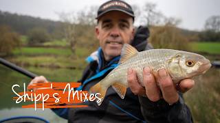 Des Shipp's Natural Venue Roach Mix | Episode Seven | Shipp's Mixes