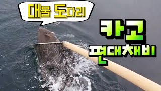 [통영로기] 195회 4짜 도다리가 카고 편대채비에 잘 물어 주네요.