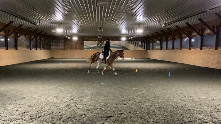 Open, PTV, Jill Delaney & Indiana, Dec 2021
