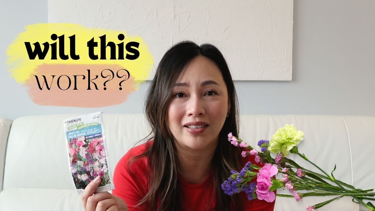 Выращивание душистого горошка из семян… Пожелайте мне удачи!