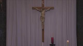 Daily Mass