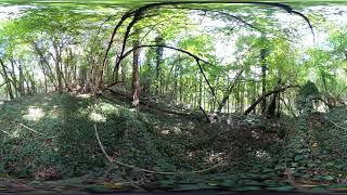 Camera test, sample 1: Yi360, 5.7k, software stitched screenshot 3