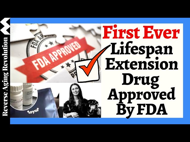 FIRST EVER Lifespan Extension Drug APPROVED By FDA - Dogs First To Unlock Human Aging class=
