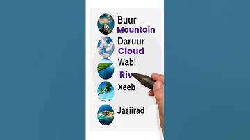 Learn English And Somali Shorts 