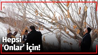 Engelliler, Kuşlar İçin 'Rızık Ağacı'na Ekmek Astı!