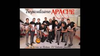 Tropicalisimo Apache Mix