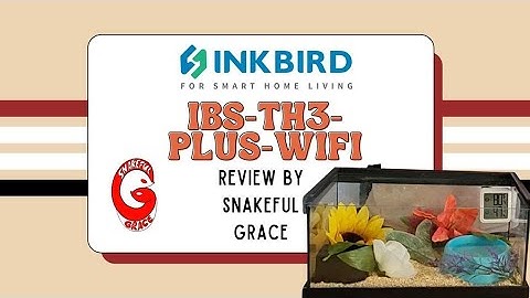 Is Your Hognose Dehydrated?! +  INKBIRD IBS- IBS-TH3-PLUS-WIFI Review