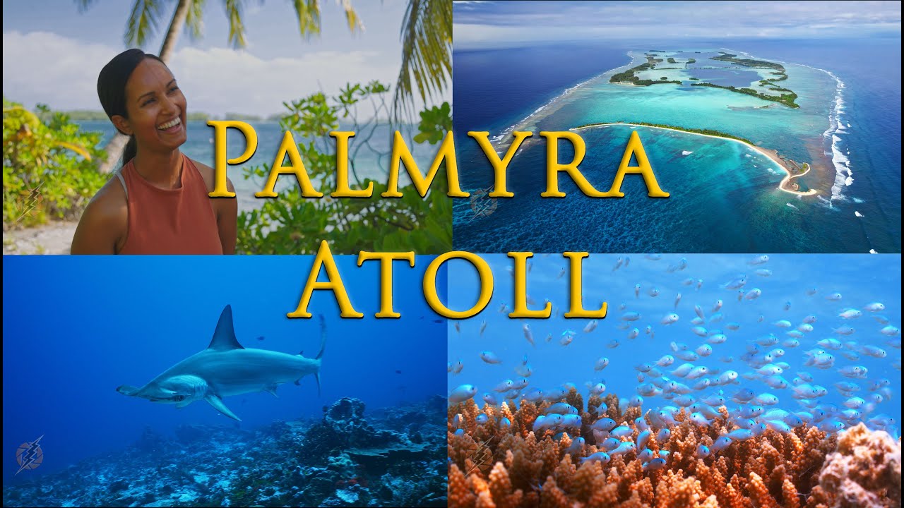 Palmyra Atoll, Jewel in the Pacific. Marine Sanctuary and Island ...
