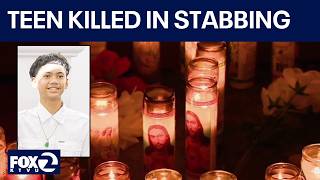 Famous Milpitas teen dies in stabbing near high school | KTVU Profile