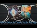 Divine Animals Oracle Walk Through