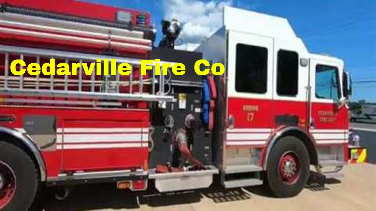 Cedarville Fire Co's Car Show with Corvettes Mustangs Audi & Classics