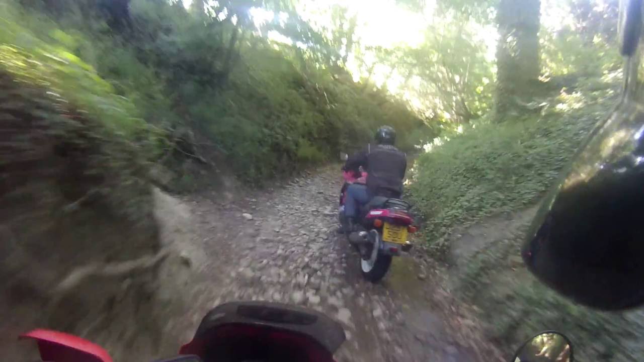 Worldham - Water Lane (Byway, S-N)