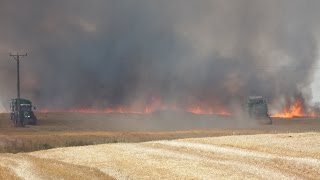 Żniwa Pszeniczne 2014  ||Fendt5220E||Fendt820||ClaasMedion310|| Mafia Lubelskie /Rodzik006