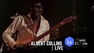 Albert Collins | Live