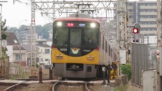 京阪8000系 8010F 特急淀屋橋行 光善寺駅 通過