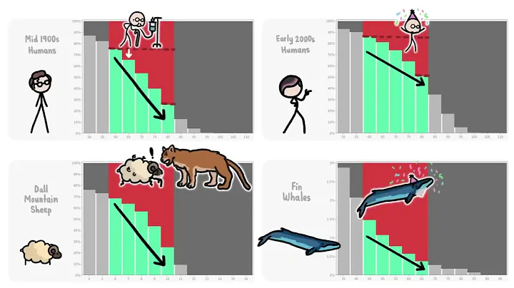 How Long Did People Use To Live