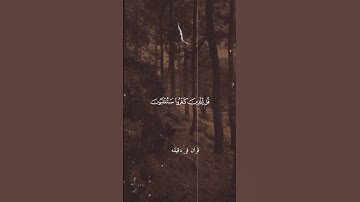 قران كريم ارح قلبك وسمعك #quran #قران #yasseraldossary #المصحف #duet @قران_في_دقيقة