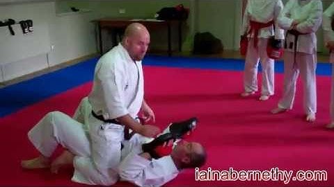 Practical Kata Bunkai: Basic Ground Striking Drill