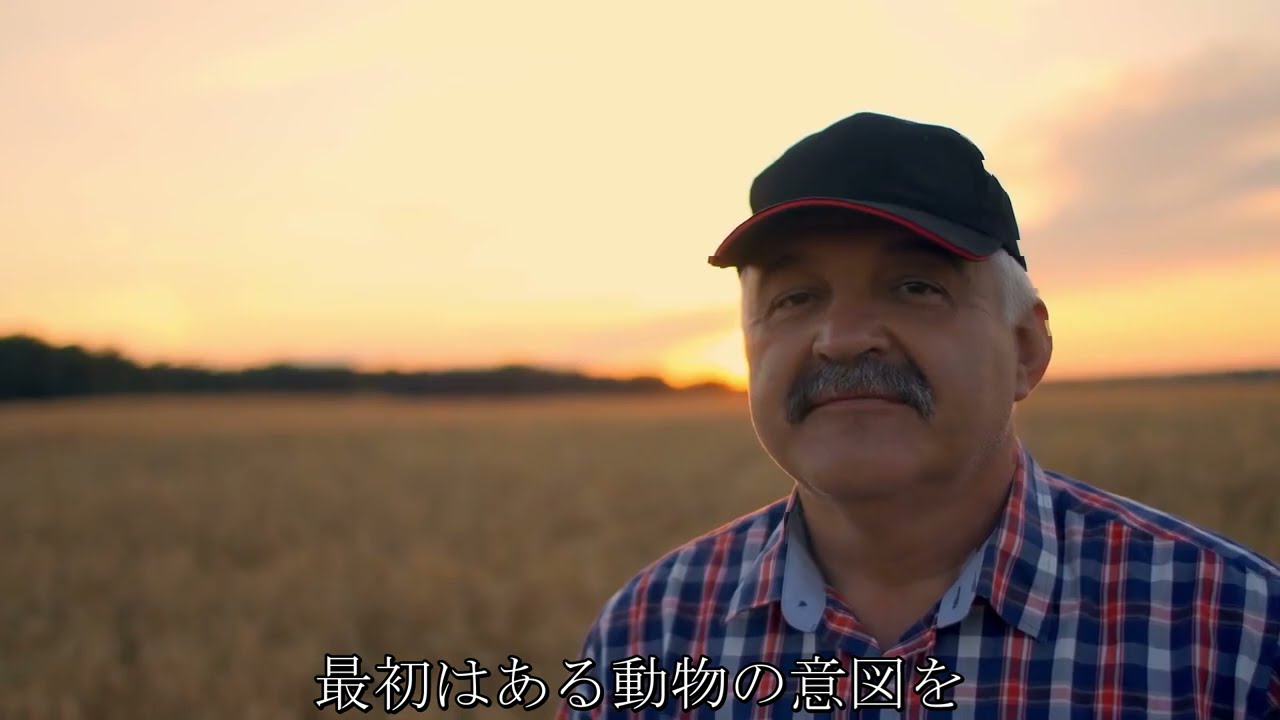 母熊は危険を恐れず 赤ん坊を人々のもとに運んできました その驚きの理由は Youtube