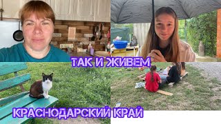 VLOG/ КРАСНОДАРСКИЙ КРАЙ! КУПИЛА НОВУЮ СКОВОРОДУ/ ВИШНЯ ПОСПЕЛА