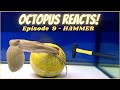 Octopus Reacts to Hammer - Episode 9